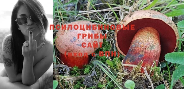 бошки Козловка
