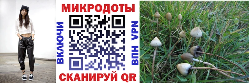 Галлюциногенные грибы ЛСД  Новотитаровская 