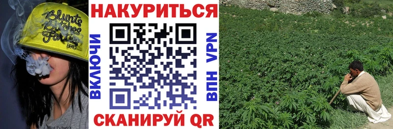 Бошки Шишки THC 21% Новотитаровская
